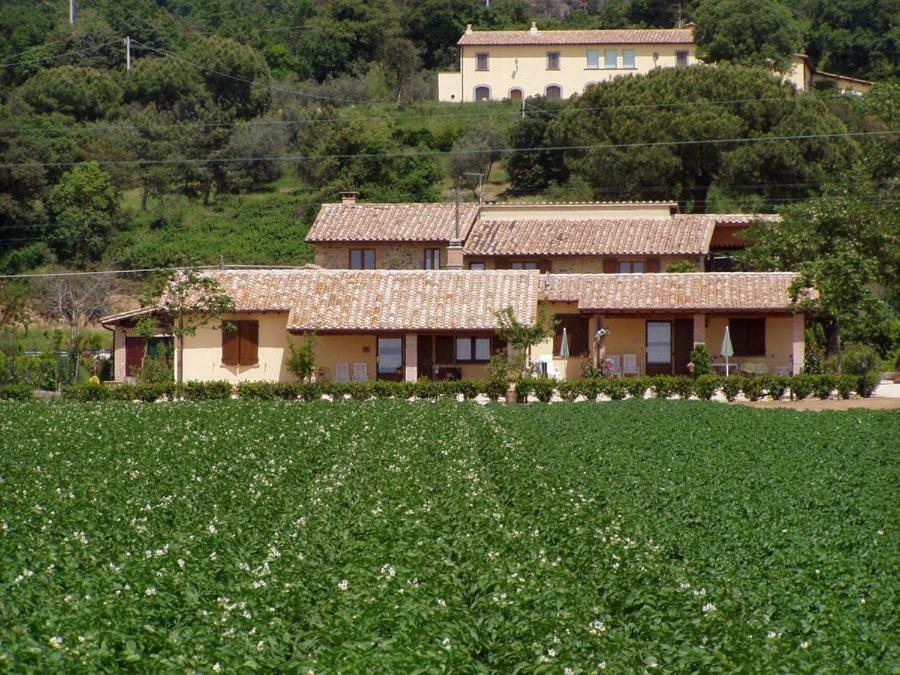 Agriturismo Casale Del Contadino บอลเซนา ภายนอก รูปภาพ