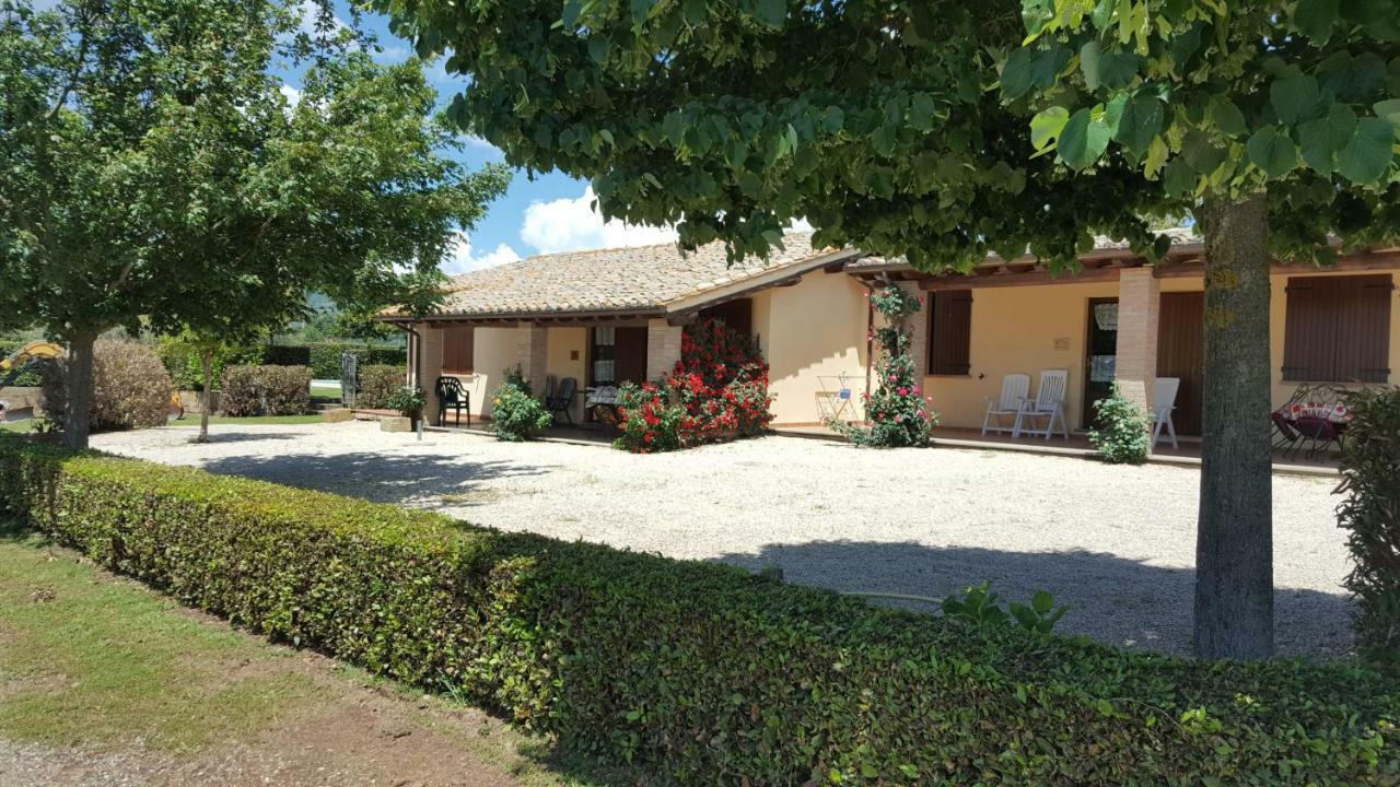 Agriturismo Casale Del Contadino บอลเซนา ภายนอก รูปภาพ